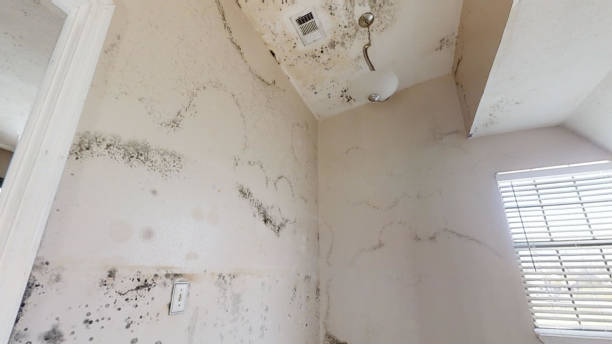 Best Indoor Air Quality Assessment  in Guthrie, KY